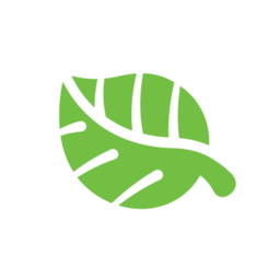 custom_website